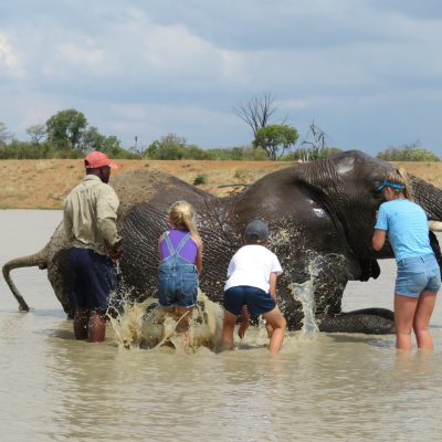 Elephant Bathe (Includes a  Elephant Interaction)