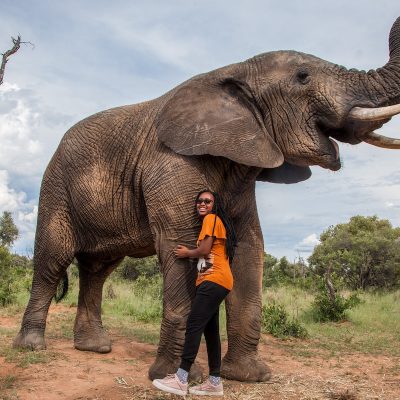 Nature Walk & Elephant Interaction