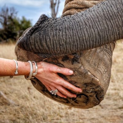 Educational Experience