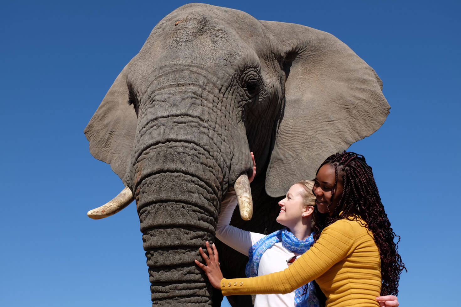 Adventures-With-elephants-Stay-Close-to-the-Herd