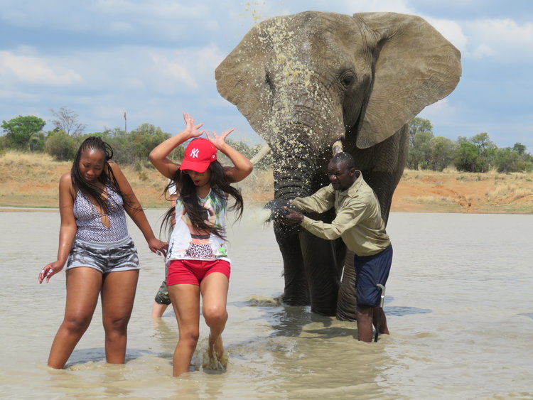 OLD - Elephant Bathe (Includes a Elephant Interaction) - Image 5
