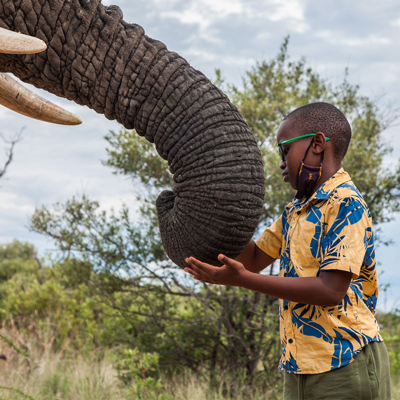 Adventures-With-elephants-Meet-the-Ellies