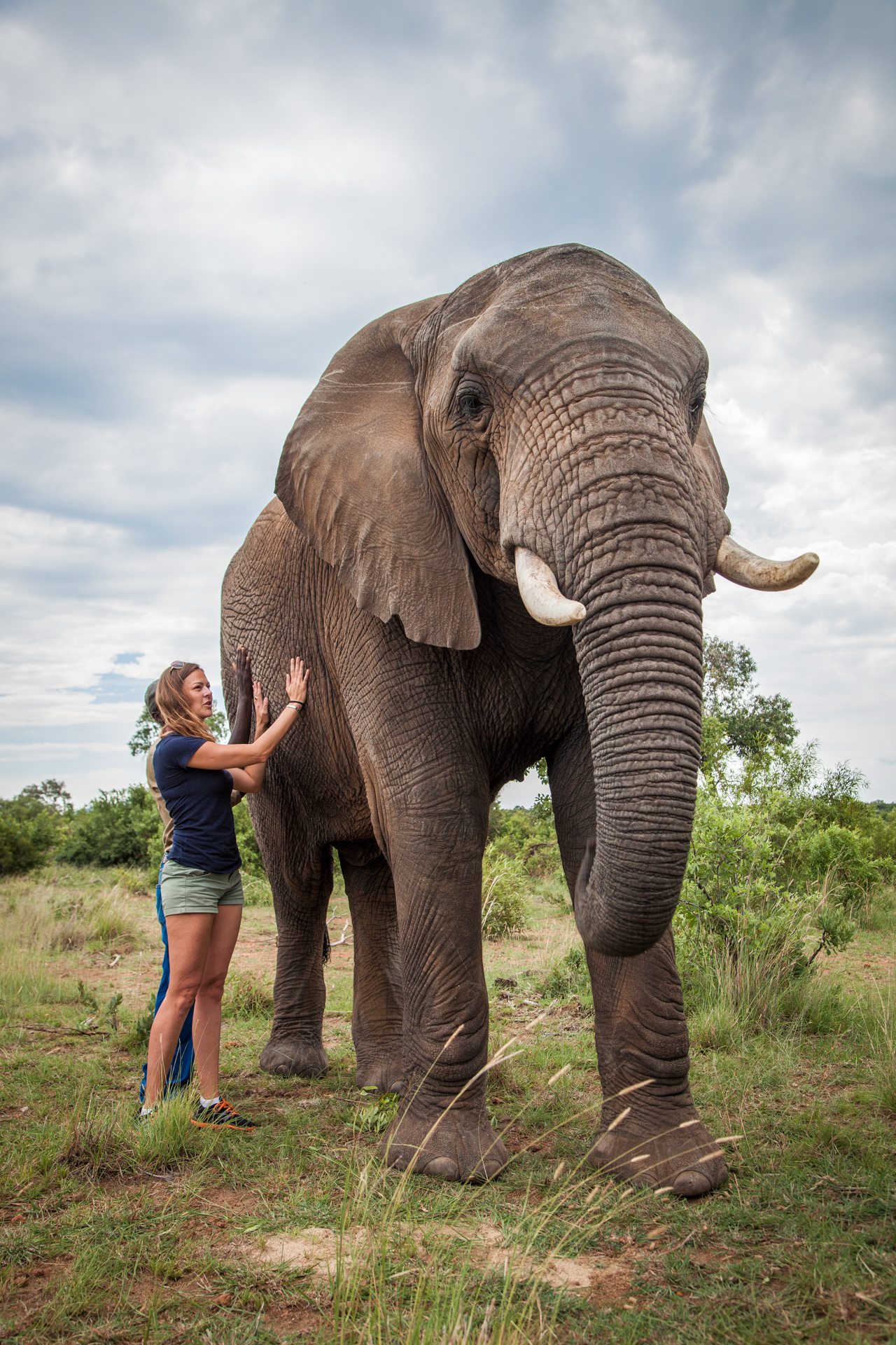OLD - Elephant Bathe (Includes a Elephant Interaction) - Image 6