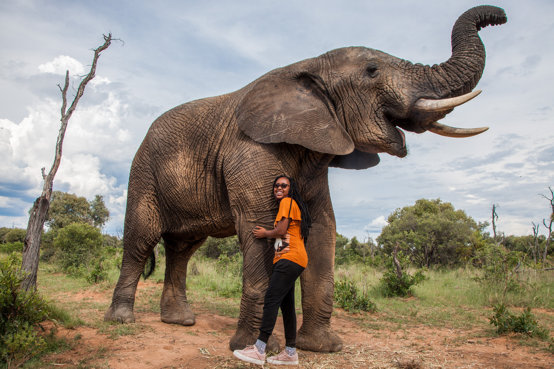 OLD - Nature Walk & Elephant Interaction - Image 6