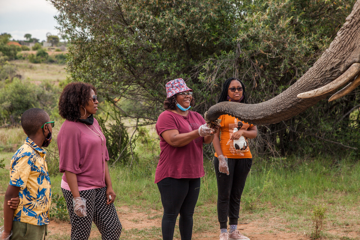 OLD - Nature Walk & Elephant Interaction - Image 5