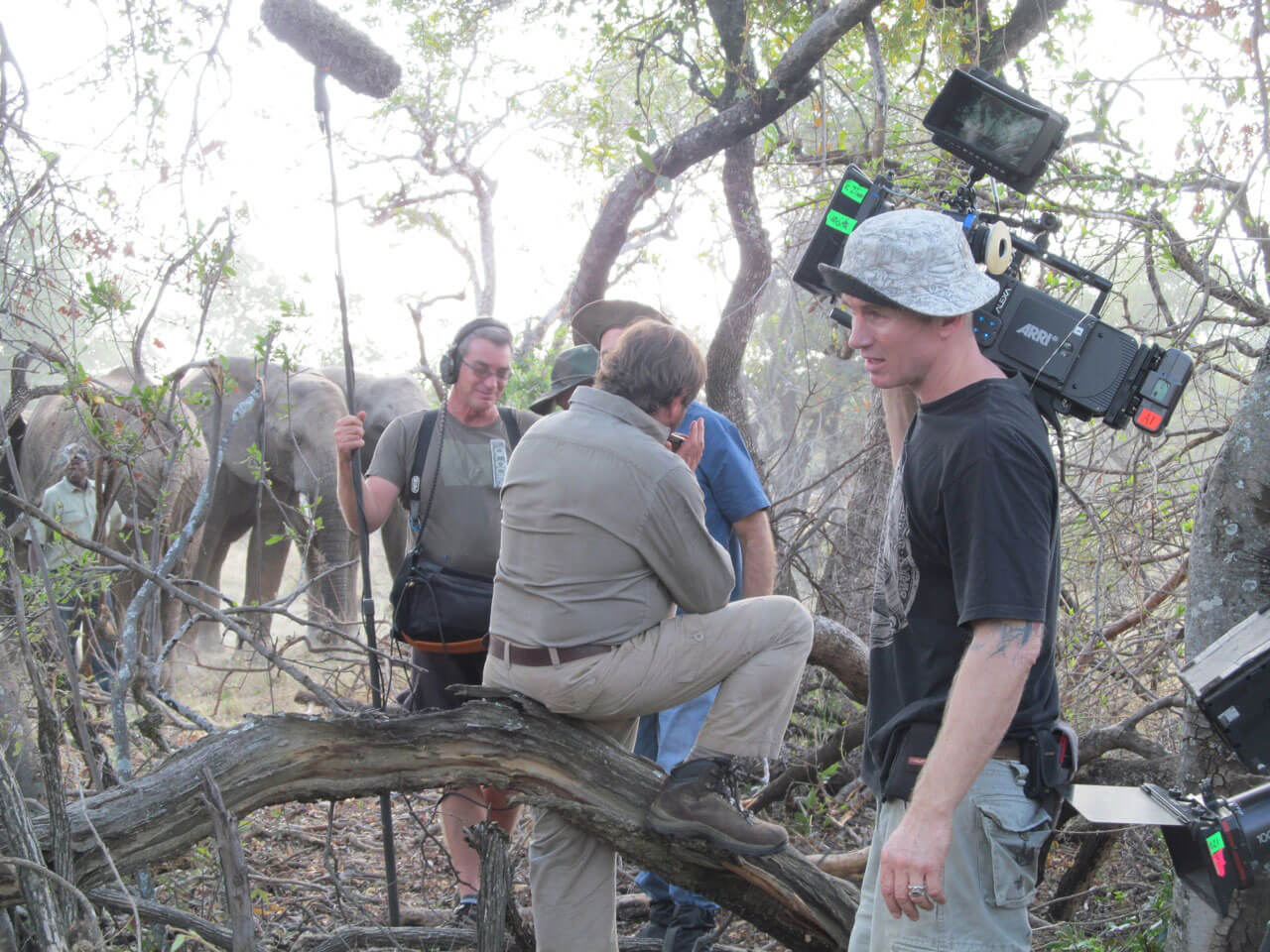 Commercial Film & Photo Productions - Image 5