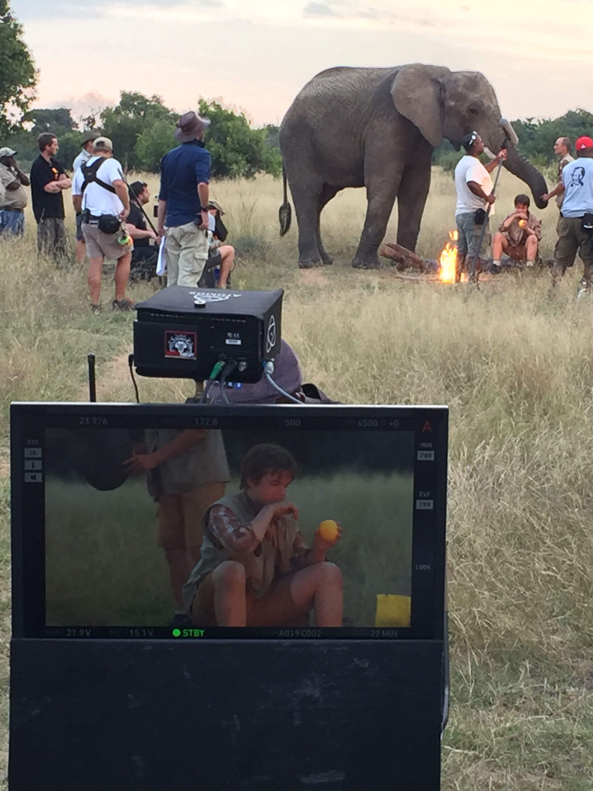 Commercial Film & Photo Productions - Image 4