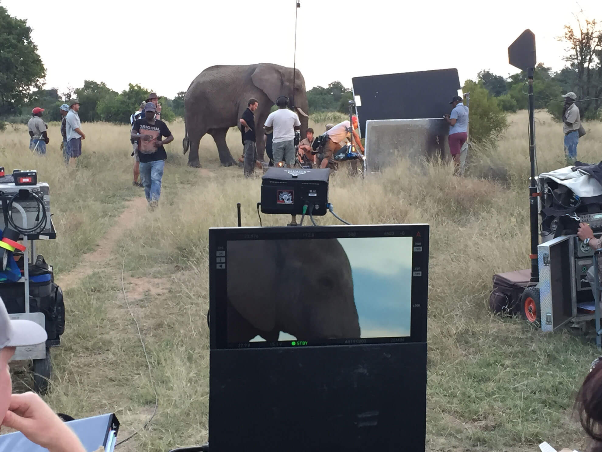 Commercial Film & Photo Productions - Image 2
