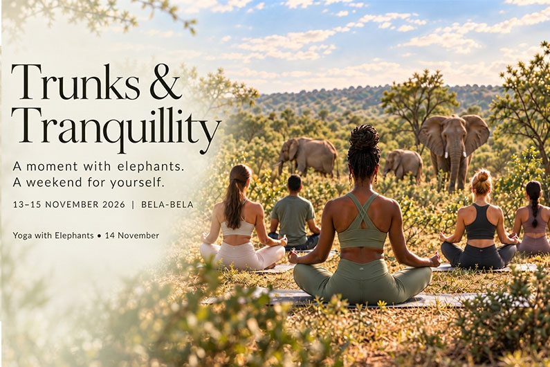 Trunks & Tranquillity